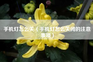 手机灯怎么关(手机灯怎么关闭的注意事项)