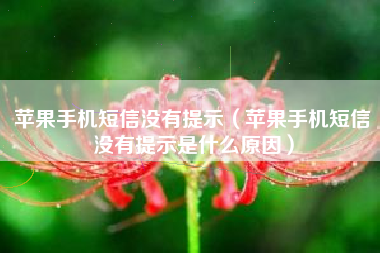 苹果手机短信没有提示(苹果手机短信没有提示是什么原因)