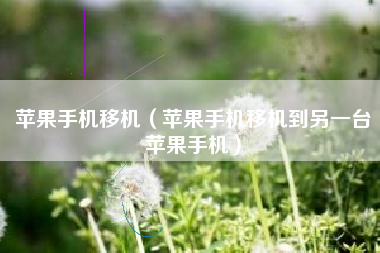 苹果手机移机(苹果手机移机到另一台苹果手机)