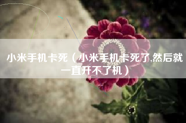 小米手机卡死(小米手机卡死了,然后就一直开不了机)