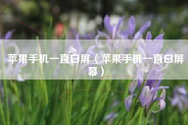苹果手机一直白屏(苹果手机一直白屏幕)