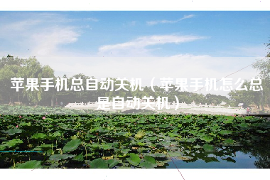 苹果手机总自动关机(苹果手机怎么总是自动关机)