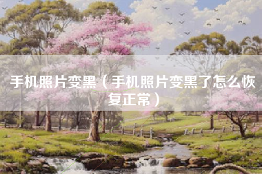 手机照片变黑(手机照片变黑了怎么恢复正常)
