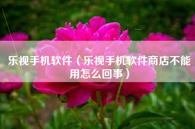 乐视手机软件(乐视手机软件商店不能用怎么回事)