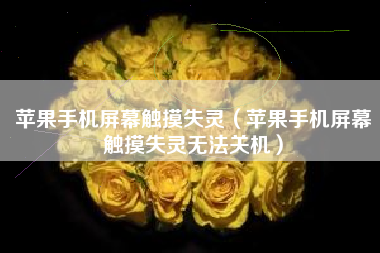 苹果手机屏幕触摸失灵(苹果手机屏幕触摸失灵无法关机)