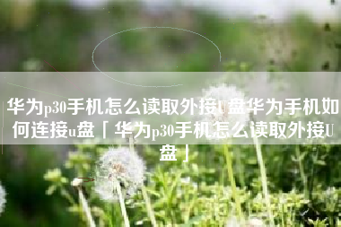 华为p30手机怎么读取外接U盘华为手机如何连接u盘「华为p30手机怎么读取外接U盘」