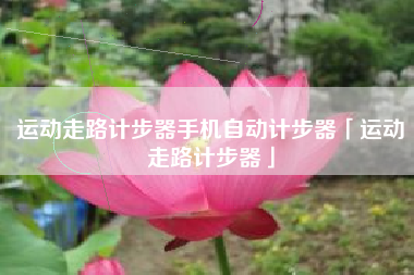 运动走路计步器手机自动计步器「运动走路计步器」