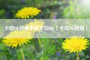 卡拉OK越南手机卡拉OK「卡拉OK越南」