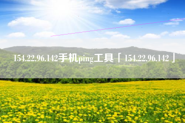 154.22.96.142手机ping工具「154.22.96.142」