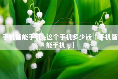 手机智能手机4g这个手机多少钱「手机智能手机4g」