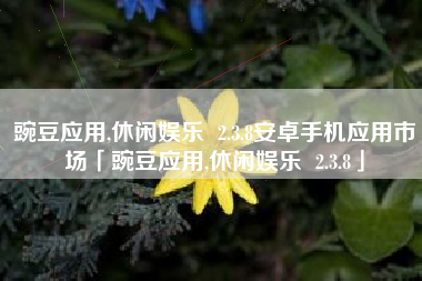 豌豆应用,休闲娱乐 2.3.8安卓手机应用市场「豌豆应用,休闲娱乐 2.3.8」
