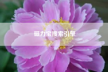 磁力宝搜索引擎