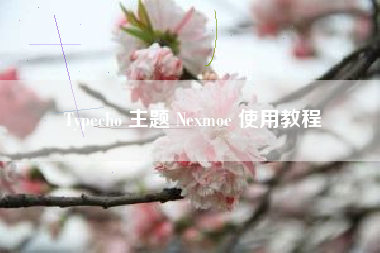 Typecho 主题 Nexmoe 使用教程